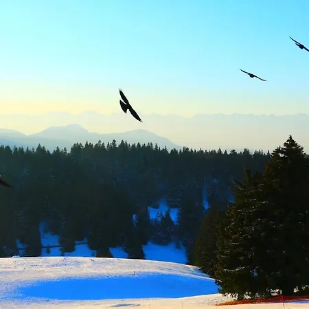 La Brison-t'inn Casa vacanze Gresine